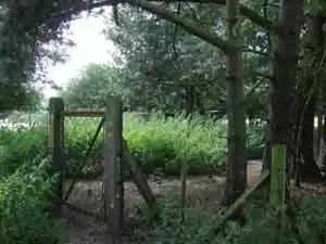 മുള്ളുവേലി തകര്ത്തകേസ്; ഗൃഹനാഥന് യുവതി നഷ്ടപരിഹാരം നല്കാന് വിധി