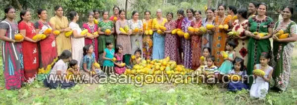 തൃക്കരിപ്പൂര് മുച്ചിലോട്ട് പെരുങ്കളിയാട്ടം; അന്നദാനത്തിന് ജൈവ പച്ചക്കറി