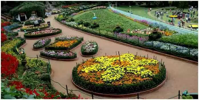 South India Travel Zone | ആയിരക്കണക്കിന് മരങ്ങളും പൂച്ചെടികളും; ഊട്ടിയിൽ കണ്ണുകള്ക്ക് കുളിര്മയേകുന്നൊരിടം; കൂനൂരിലെ സിംസ് പാര്കിന്റെ വിശേഷങ്ങൾ അറിയാം