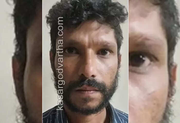 Arrested | 'വീട്ടിൽ അനധികൃതമായി സൂക്ഷിച്ച നാടൻ തോക്കും വെടിയുണ്ടകളും പൊലീസ് പിടികൂടി'; യുവാവ് അറസ്റ്റിൽ