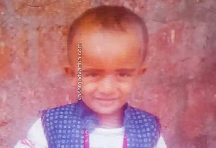 Accidental Death | പികപ് വാന് ഇടിച്ച് മൂന്നുവയസുകാരന് മരിച്ചു