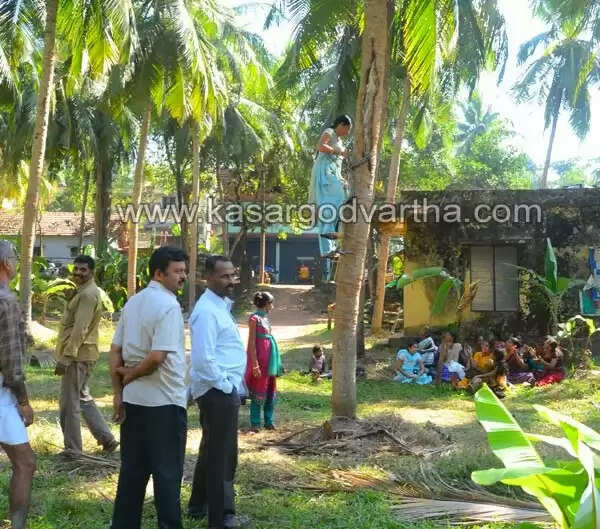 തെങ്ങുകയറ്റ പരിശീലന പരിപാടിയില് ആവേശകരമായ പങ്കാളിത്തം; പങ്കെടുത്തത് 1,500 ഓളം പേര്