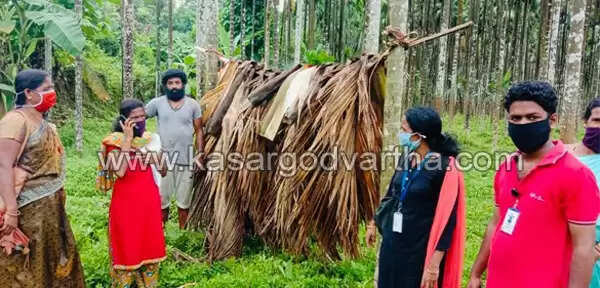ഡെങ്കിപ്പനി പ്രതിരോധം ശക്തമാക്കി കുമ്പള ഹെല്ത്ത് ബ്ലോക്ക്; ഡെങ്കിയെ പ്രതിരോധിക്കാന് 840 സ്ക്വാഡുകള്, 35,000 വീടുകള് സന്ദര്ശിക്കും, കൊതുകിനെ പിടിക്കാന് ഗപ്പി മീനുകളും