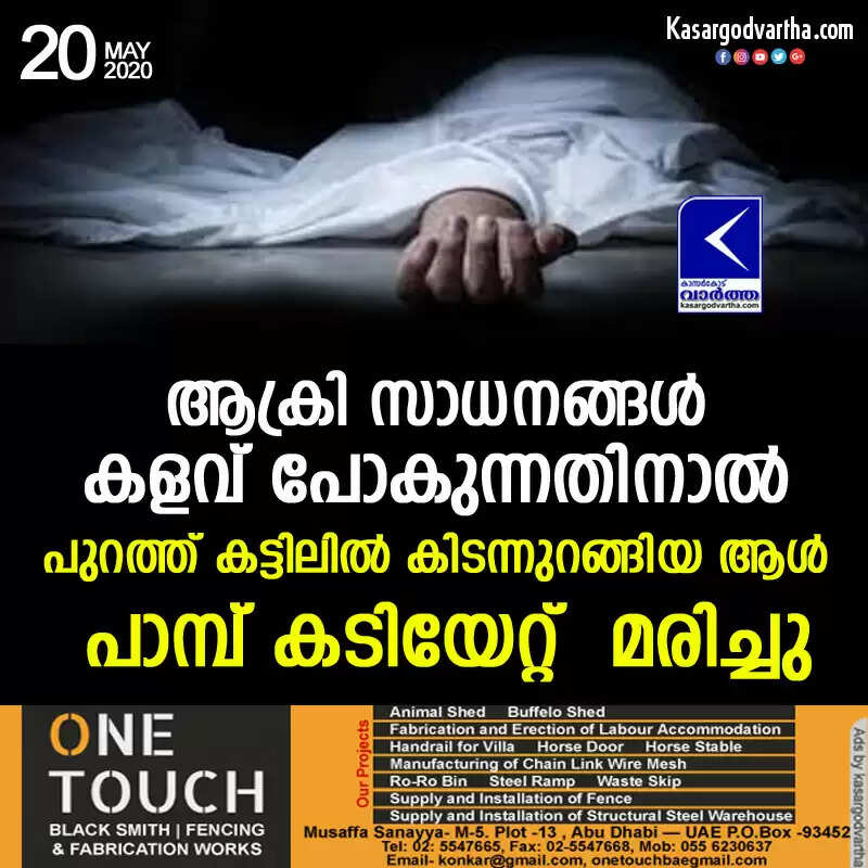 ആക്രി സാധനങ്ങള് കളവ് പോകുന്നതിനാല് പുറത്ത് കട്ടിലില് കിടന്നുറങ്ങിയ ആള് പാമ്പ് കടിയേറ്റ് മരിച്ചു