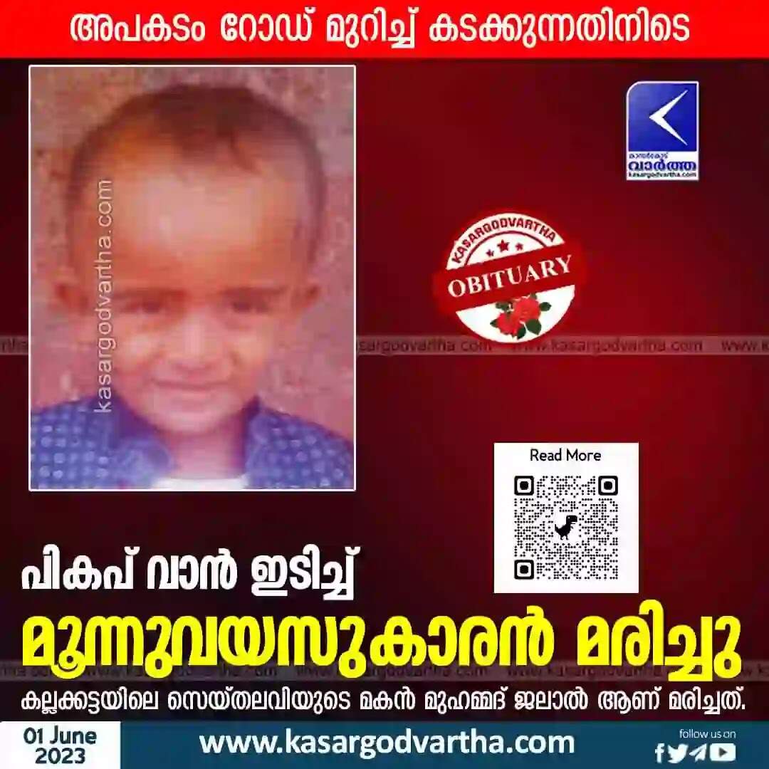 Accidental Death | പികപ് വാന് ഇടിച്ച് മൂന്നുവയസുകാരന് മരിച്ചു
