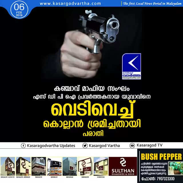 കഞ്ചാവ് മാഫിയ സംഘം എസ് ഡി പി ഐ പ്രവര്ത്തകനായ യുവാവിനെ വെടിവെച്ച് കൊല്ലാന് ശ്രമിച്ചതായി പരാതി