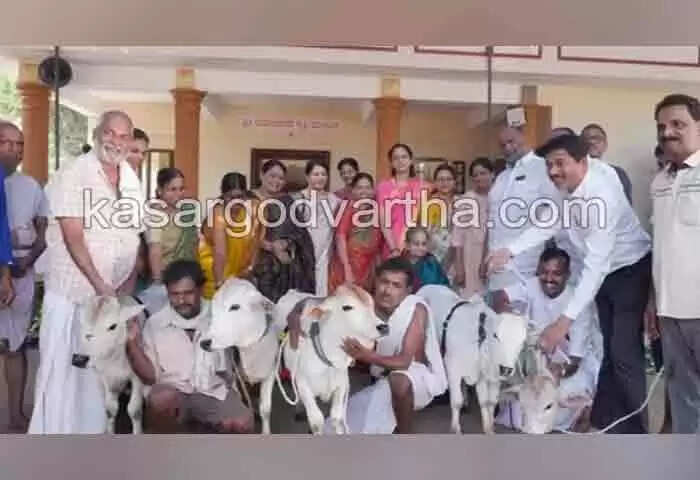 Cow Hug Day | മണിപ്പാല് ക്ഷേത്രത്തില് 'കൗ ഹഗ് ഡേ' ആചരിച്ചു