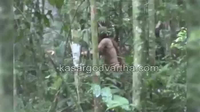 Last survivor | ആമസോൺ വനത്തിലെ പേരറിയാത്ത ഗോത്രത്തിലെ അവസാനത്തെ വ്യക്തിയും മരിച്ചു; മറ്റുള്ളവരെയെല്ലാം വേട്ടക്കാരും തടി കടത്തുകാരും കൊന്നുതള്ളിയപ്പോൾ രക്ഷപ്പെട്ട ഏക വ്യക്തി; പതിറ്റാണ്ടുകളായി കാടിനുള്ളിൽ ഒറ്റയ്ക്ക് ജീവിതം