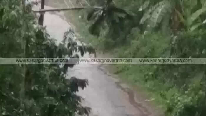 Heavy Rain | ശക്തമായ കാറ്റും മഴയും; ബളാലില് വ്യാപക നാശനഷ്ടം.