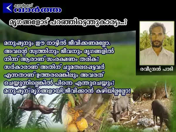 മൃഗങ്ങള് നാടുഭരിക്കുമ്പോള്...