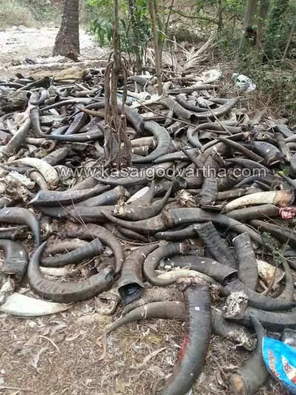 മൊഗ്രാല്പുത്തൂരില് അറവു മാലിന്യങ്ങള് റോഡരികില് തള്ളി