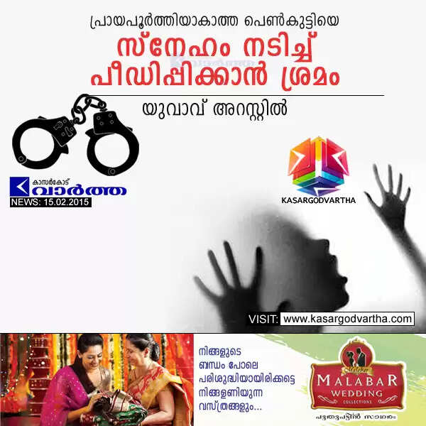 പ്രായപൂര്ത്തിയാകാത്ത പെണ്കുട്ടിയെ സ്നേഹം നടിച്ച് പീഡിപ്പിക്കാന് ശ്രമം; യുവാവ് അറസ്റ്റില്