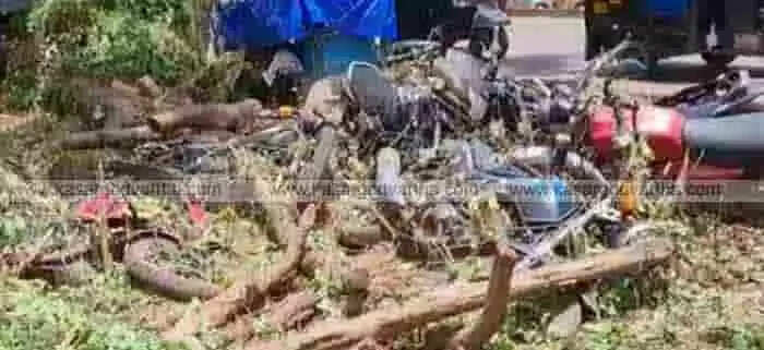 Railway Station | കാസര്കോട് റെയില്വേ സ്റ്റേഷനില് ഉടമസ്ഥനില്ലാതെ നിരവധി വാഹനങ്ങള്; പലതും തുരുമ്പെടുത്ത് മണ്ണില് പൂണ്ടനിലയില്; കവര്ച ചെയ്ത് കൊണ്ട് വന്നവയെന്ന് സംശയം