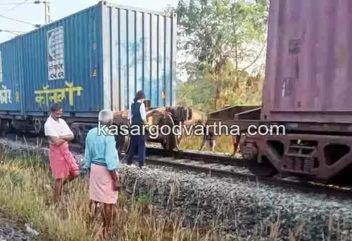 Train | ഓടിക്കൊണ്ടിരുന്ന ചരക്ക് ട്രെയിനിന്റെ ബോഗികള് വേര്പെട്ടു