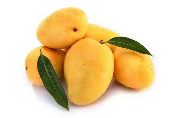 ഇന്ത്യന് മാങ്ങയ്ക്ക് വിദേശ വിപണിയില് പ്രിയം ഏറുന്നു; ഈ വര്ഷം 1.92 കോടി ടണ് മാങ്ങ ഉല്പാദിപ്പിക്കാനാവുമെന്ന് പ്രതീക്ഷ