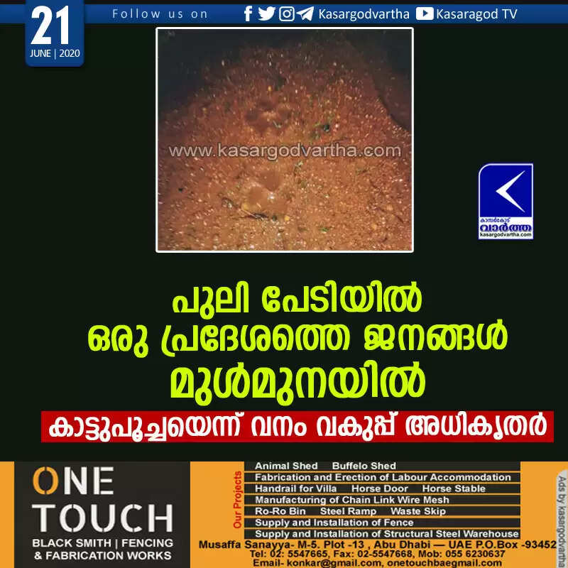 പുലി പേടിയില് ഒരു പ്രദേശത്തെ ജനങ്ങള് മുള്മുനയില്; കാട്ടുപൂച്ചയെന്ന് വനം വകുപ്പ് അധികൃതര്