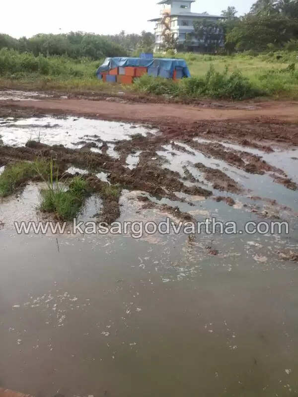 തളങ്കരയില് മത്തിച്ചാകര; കരയില് ജനങ്ങള്ക്ക് ദുരിതം