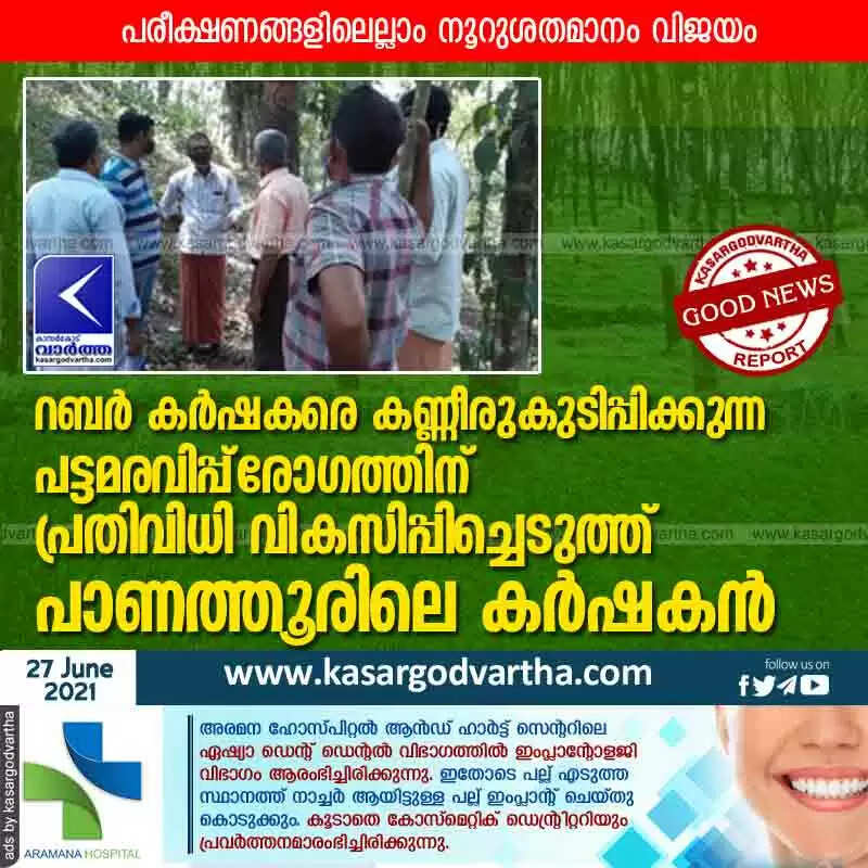 റബര് കര്ഷകരെ കണ്ണീരുകുടിപ്പിക്കുന്ന പട്ടമരവിപ്പ് രോഗത്തിന് പ്രതിവിധി വികസിപ്പിച്ചെടുത്ത് പാണത്തൂരിലെ കർഷകൻ
