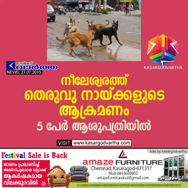 നീലേശ്വരത്ത് തെരുവു നായ്ക്കളുടെ ആക്രമണം; 5 പേര് ആശുപത്രിയില്