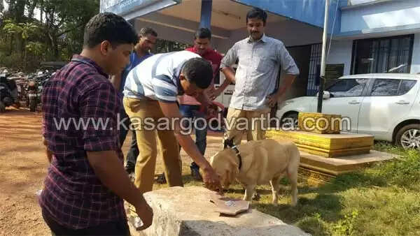 ബോംബ് സ്ക്വാഡ് സ്ഥലത്തെത്തി; അണങ്കൂരില് കണ്ടെത്തിയത് സ്ഫോടക വസ്തു തന്നെയാണെന്ന് ഉറപ്പിച്ചു, ഉറവിടം തേടി പോലീസ്