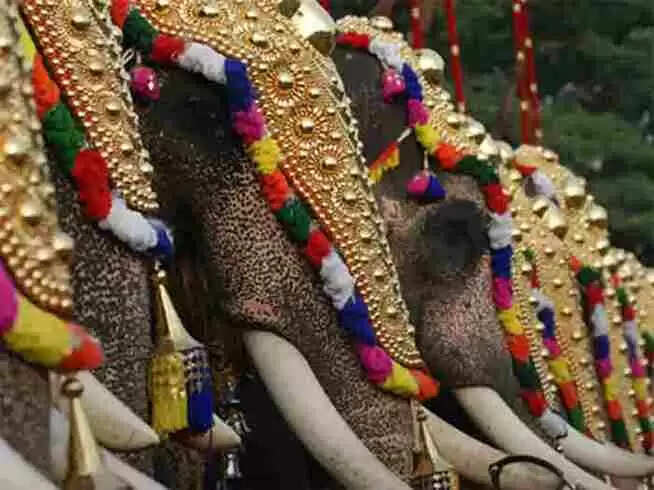 Elephants | പൂരത്തിന് ഗജവീരന്മാര്ക്ക് സ്വര്ണശോഭ പകരാനുള്ള നെറ്റിപ്പട്ടങ്ങള് അണിയറയില് ഒരുങ്ങി