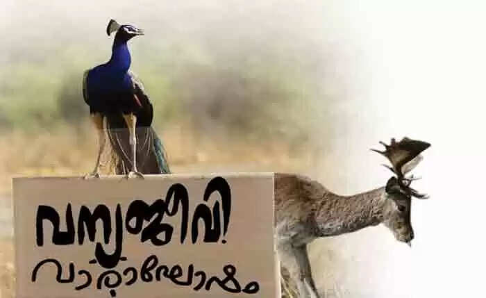 വന്യജീവി വരാഘോഷം: ഓരോരുത്തരും പ്രതിജ്ഞ എടുക്കണം; വന്യജീവി സങ്കേതങ്ങളില് പ്രവേശനം സൗജന്യം