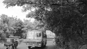 റോഡിലേക്ക് ചാഞ്ഞ മരച്ചില്ലകള് വാഹന ഗതാഗതത്തിന് ഭീഷണിയാകുന്നു
