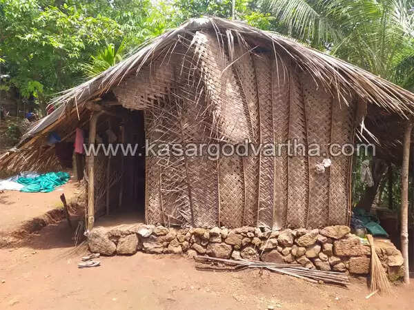 മുടന്തേന്പാറ മലമുകളില് ഒരു പട്ടികജാതി കോളനിയുണ്ട്, അവിടെ സ്വന്തമായി വീടില്ലാതെ ചെറ്റക്കുടിലില് കഴിയുന്ന കുറച്ച് മനുഷ്യര്; പിറന്നുവീണ നാള് മുതല് ദുരിതം പേറുന്ന, നിസാര കാരണങ്ങളാല് ആനുകൂല്യം നിഷേധിക്കപ്പെട്ടവര്, സുധീഷ് പുങ്ങംചാല് തയ്യാറാക്കിയ റിപ്പോര്ട്ട്