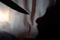 വിദ്യാര്ത്ഥിനിയെ നാലംഗസംഘം വഴിയില് തടഞ്ഞുനിര്ത്തി ഭീഷണിപ്പെടുത്തി