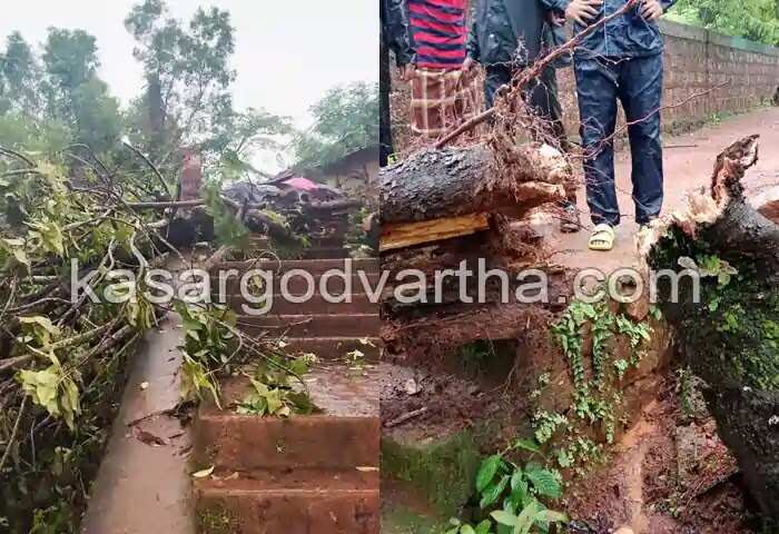 Tragedy | നോവായി ആഇശത് മിൻഹ; ദുഃഖത്തിലാണ്ട് നാട്; മാതാപിതാക്കളെ ആശ്വസിപ്പിക്കാനാകാതെ ബന്ധുക്കൾ; അംഗഡിമൊഗറിന് നഷ്ടമായത് പഠനത്തിൽ മിടുക്കിയായ വിദ്യാർഥിനിയെ