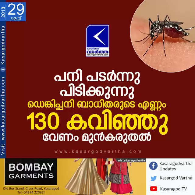 പനി പടര്ന്നു പിടിക്കുന്നു; ഡെങ്കിപ്പനി ബാധിതരുടെ എണ്ണം 130 കവിഞ്ഞു, വേണം മുന്കരുതല്