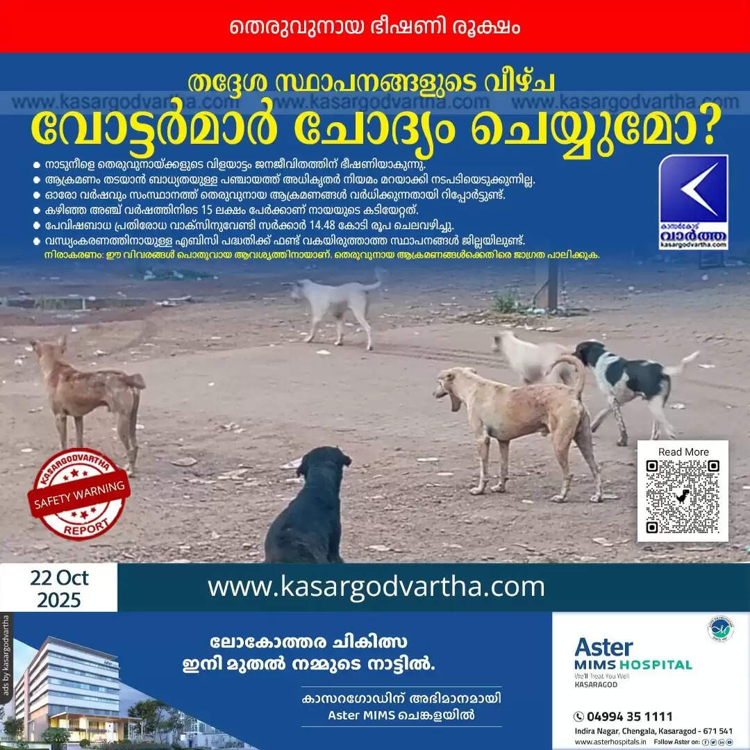 stray dog menace major issue panchayat election kerala