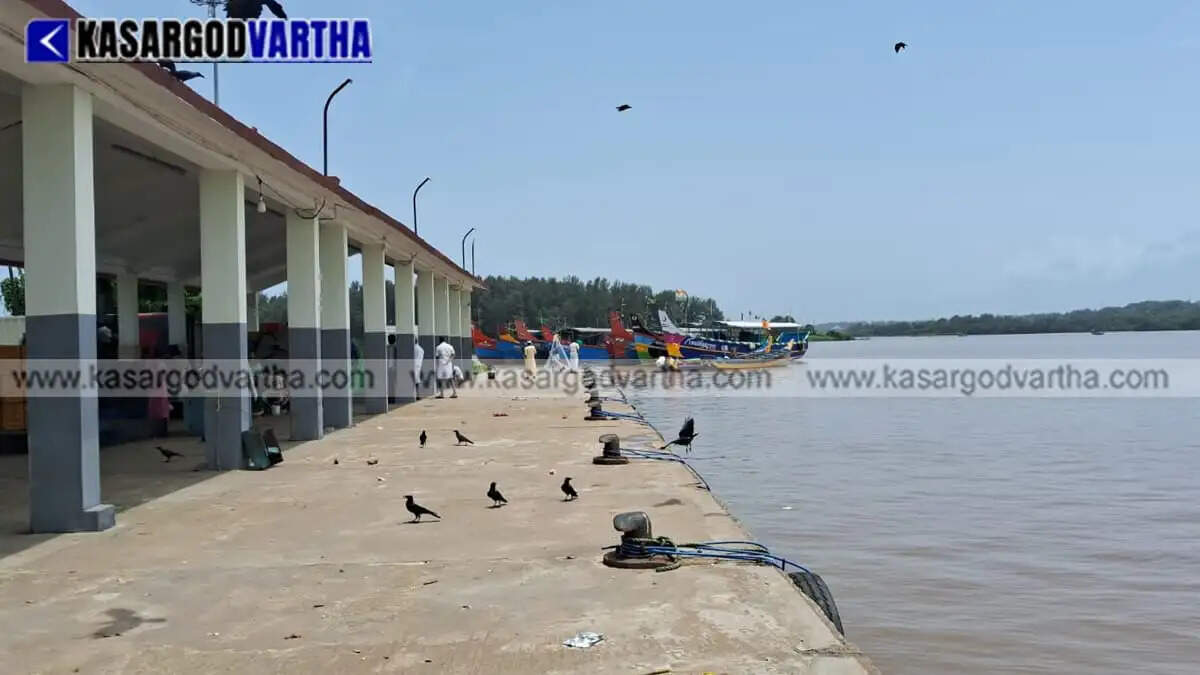Pallam mangrove forests in Kasaragod become a rare bird sanctuary; Forest Dept strengthens protection and plans to resume eco-park project