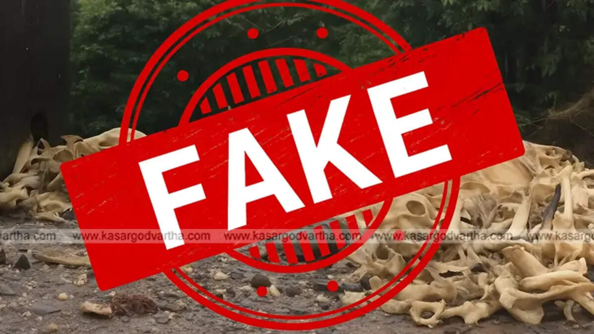 A blurred screenshot of the fake cattle slaughter video circulating on social media.