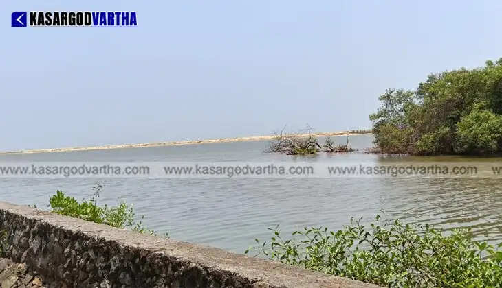  Kayaking boats ready at the newly constructed Arikkadi hub in Kumbla.