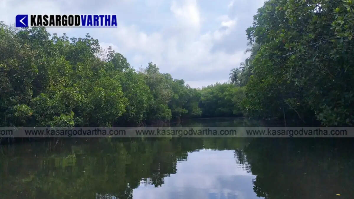 Representational image reflecting kayaking and tourism activities at Arikkadi in Kasaragod
