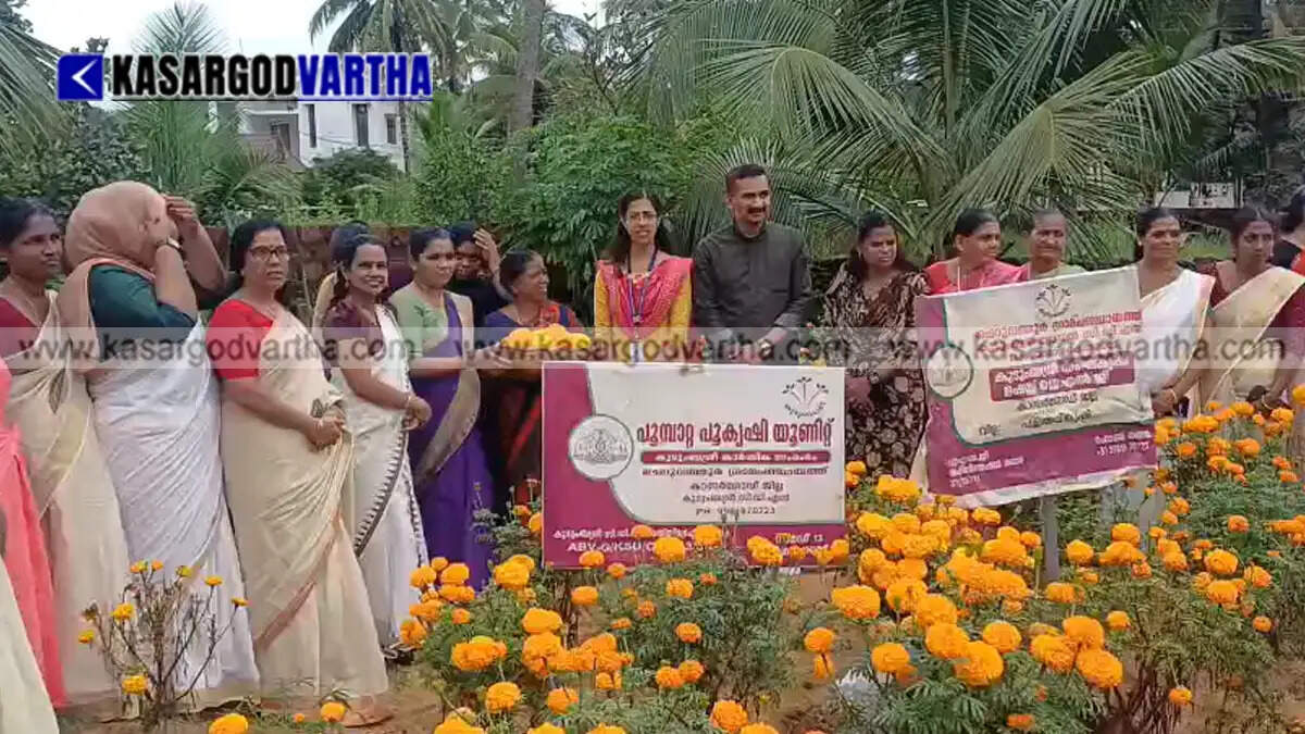 Representational image of Kudumbashree members harvesting marigold flowers in Cheruvathur for Onam