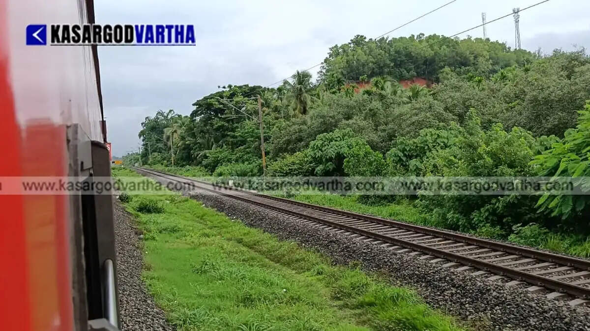 Tree falls on railway track at Karyangode Mayyicha; train services disrupted