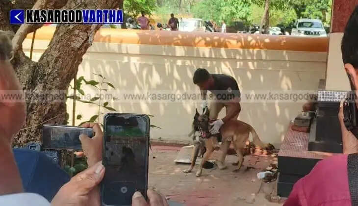 Major theft at Nileshwaram Kottapuram Sree Vaikuntha Temple; ₹30,000 stolen after breaking open 6 donation boxes.