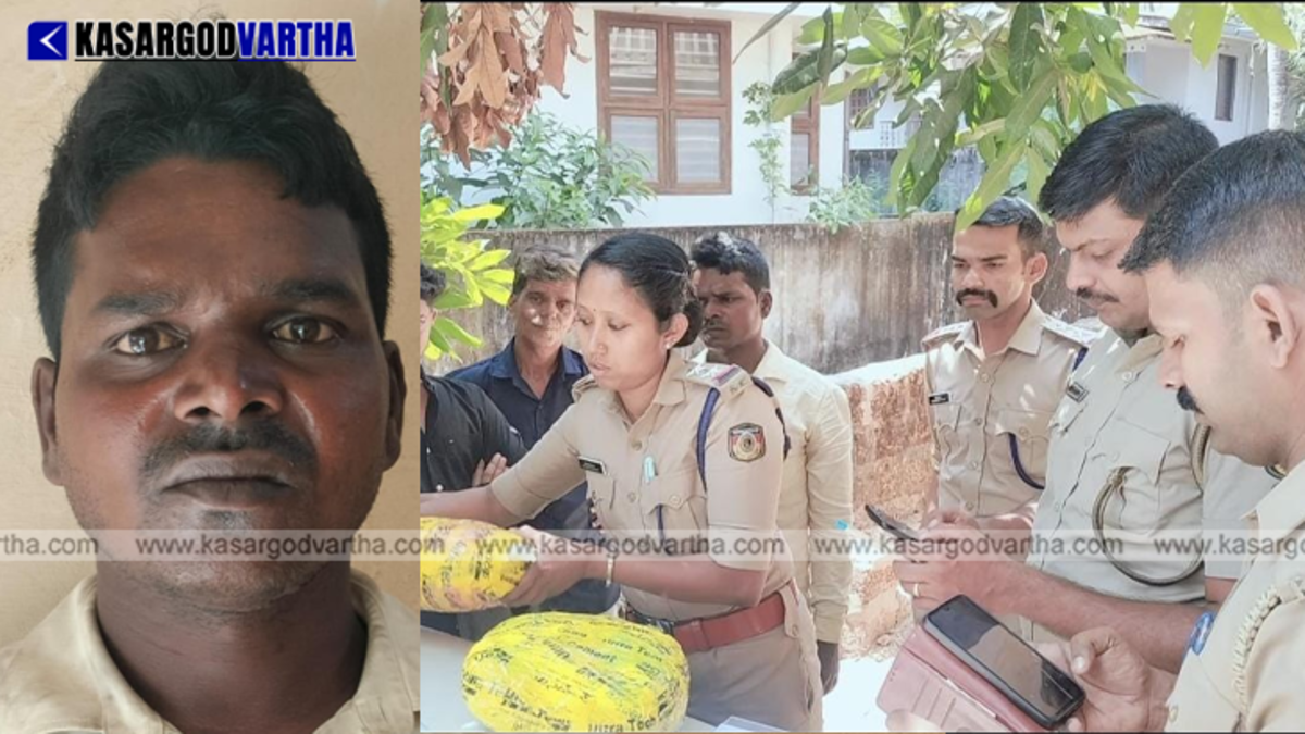  Police officers standing with seized ganja packets in Kasaragod.