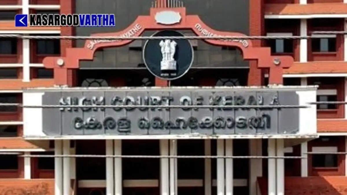 Kerala High Court revokes police protection for 'Kumbh Mela viral star' and husband; couple untraceable