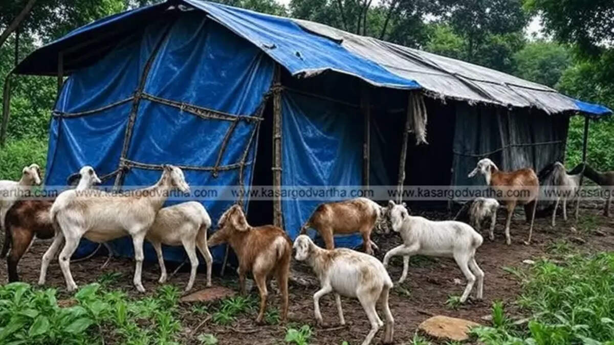 A family of 21 living in a small, temporary shelter in Nilambur, Kerala.