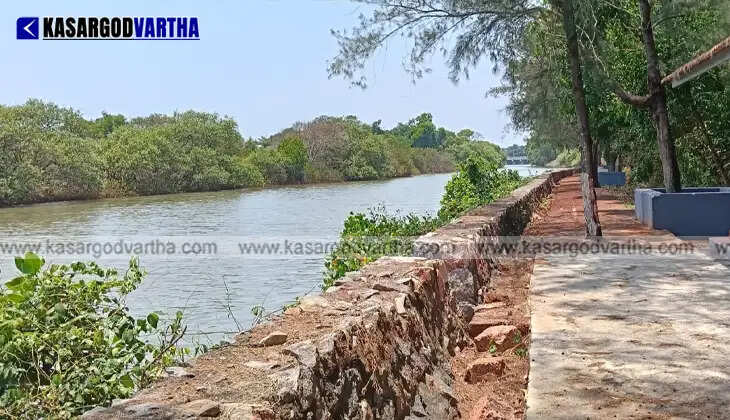  Kayaking boats ready at the newly constructed Arikkadi hub in Kumbla.