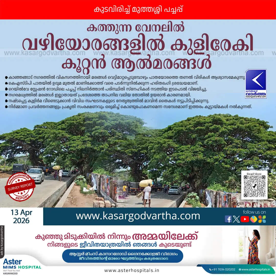 kanhangad shade trees summer relief environmental activists