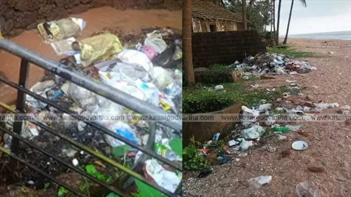 Plastic waste in Mogral river and its surroundings