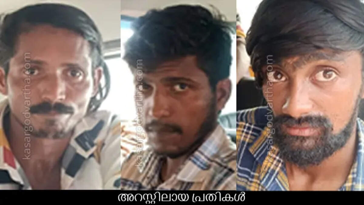 MDMA Seizure in Kasaragod: Three Accused Arrested