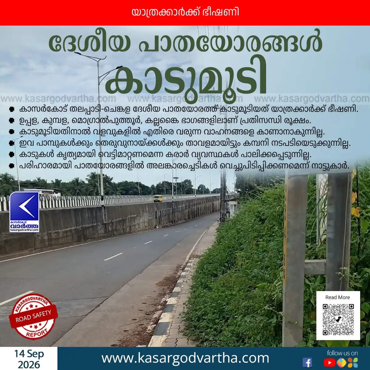 kasaragod national highway overgrown bushes pedestrian