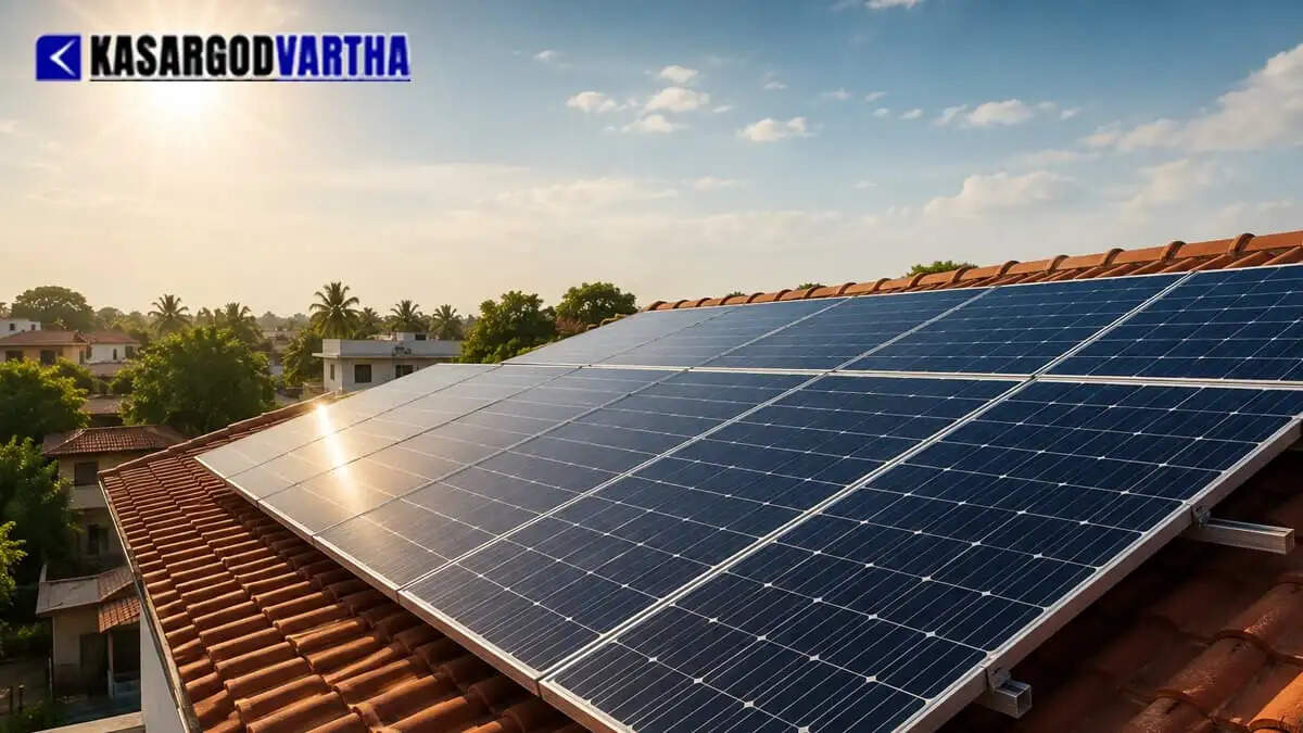 Image Representing Survey begins for 220 kV transmission line for 100 MW Pothamkandam Solar Park in Kasaragod