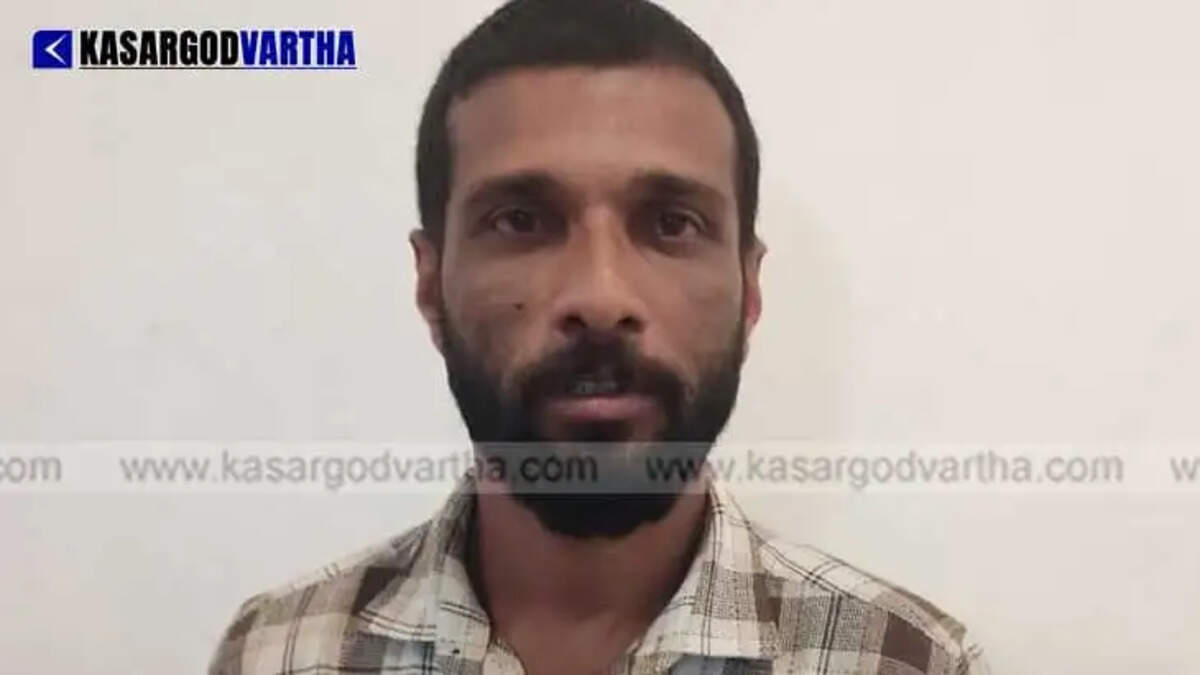 Kasaragod Court Sentences Man to 20 Years Rigorous Imprisonment in 22 Kg Cannabis Smuggling Case