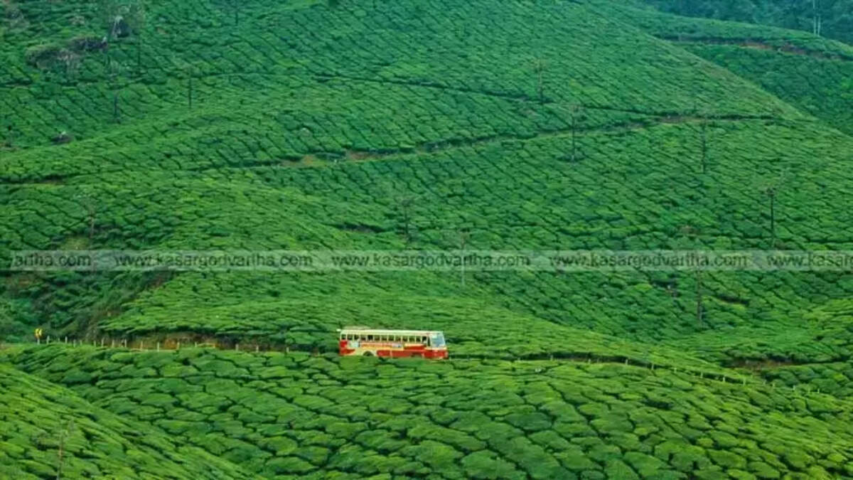 KSRTC Launches Budget Trip from Kasaragod to Munnar